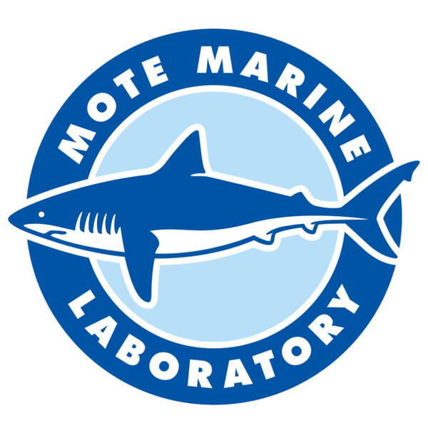Mote Marine Logo
