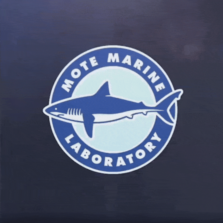 Mote Marine logo
